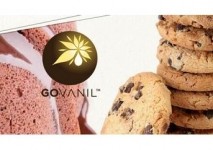 Govanil™:您的烘焙挑戰的核心