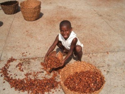 據杜蘭大學(Tulane University)的數據，在2007/2008年期間，科特迪瓦有近82萬名兒童，加納有超過99.7萬名兒童從事與可可有關的活動