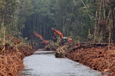 綠色和平組織稱，行業躲在RSPO的背後，而RSPO並沒有保護好森林。圖片來源:Ulet Ifansasti