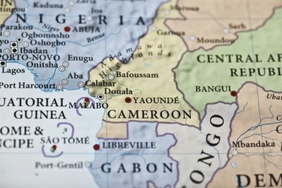 喀麥隆每年生產大約30萬噸可可，但政府希望通過適當的投資增加這一數字。圖片來源:Getty Images/