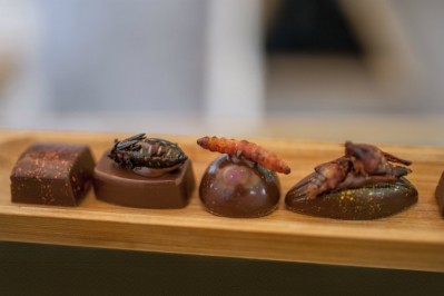 功能性巧克力越來越受歡迎，無論是通過açai這樣的超級食物，還是圖片中的蚱蜢和蟋蟀。圖片來源:Getty Images/fitopardocom