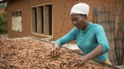 加納公平貿易基金會的可可農正在晾曬她的可可豆。圖片:公平貿易基金會
