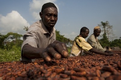 公平貿易體係中的可可農將獲得額外資金，以幫助對抗冠狀病毒。圖片:公平貿易