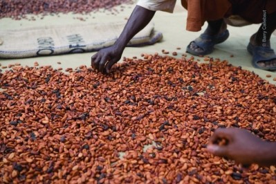 百樂嘉利寶(Barry Callebaut)銷售的可可地平線(Cocoa Horizons)和巧克力產品都有溢價，用於幫助改善可可農及其社區的生計。圖片:百樂嘉利寶