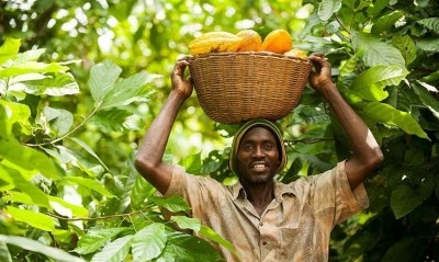 關於良好農業做法的培訓也增加了農民的收入。圖片:公平貿易國際
