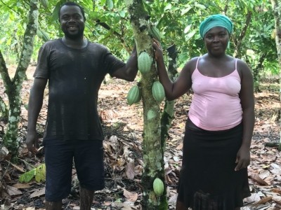 科科斯農民Bismark Botwe和他的妻子Joyce Aidoo在他們加納的農場上，圖片:Kristy Leissle