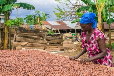 一位來自加納公平貿易合作社的可可農。圖片:非洲公平貿易。