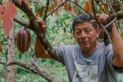 Bartolo Teul是伯利茲托萊多的一位可可農，他向不凡可可公司供應可可豆。圖片:罕見的可可