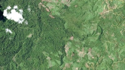 星城公司的衛星技術在阻止森林砍伐方麵發揮著關鍵作用。圖片:燕八哥