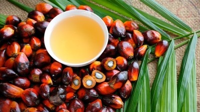 棕櫚油行業需要強調其當前的可持續發展戰略也是“麵向未來的”。©蓋蒂圖片社