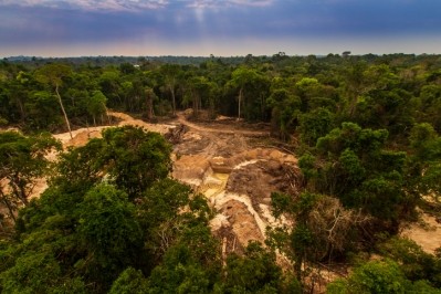 森林砍伐承諾風險意義沒有執行,警告活動家
