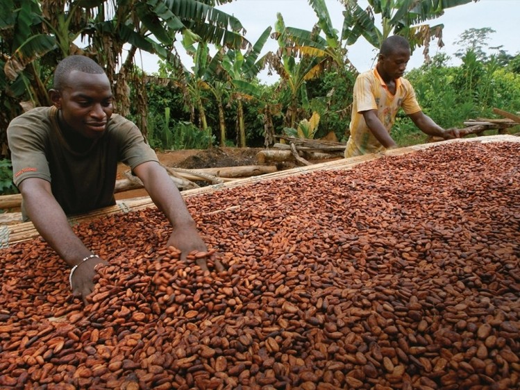 百樂嘉利寶最青睞的認證項目“可可地平線”(Cocoa Horizons)溢價項目較去年增長63%。圖片:可可地平線＂>
         <figcaption class=