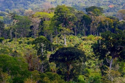 的巴西的熱帶雨林被砍伐,但它是一個簽署國的COP26結束2030年森林砍伐。圖片:WCF
