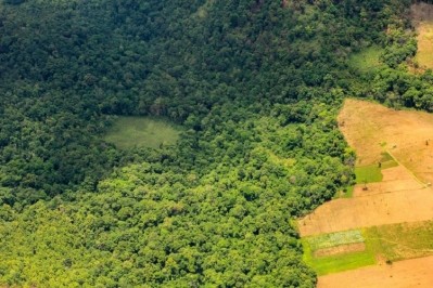綠色和平組織批評了一係列行業，但棕櫚油監測組織將該報告解讀為對棕櫚油的攻擊。一些/ Khlongwangchao