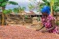 來自加納公平貿易合作社之一的可可農民。圖片：非洲公平貿易。“></span><span class=