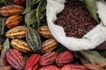厄瓜多爾可可豆是自由貿易協定的一部分。圖片:CN