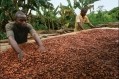 可可農和他們的社區從推廣可持續可可豆中受益。圖片:Barry Callebaut＂></span><span class=