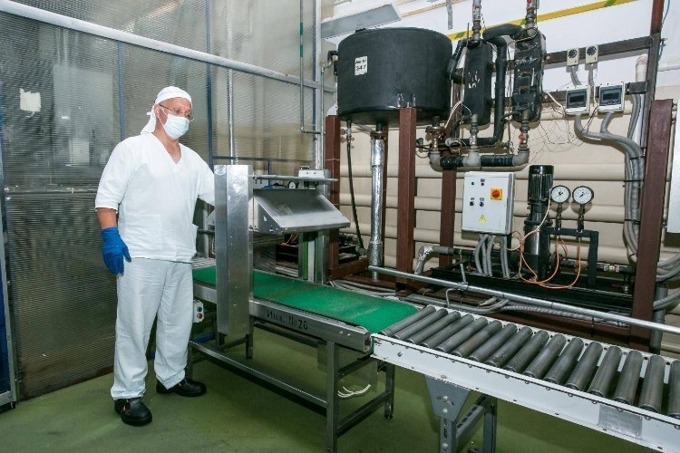 百樂嘉利寶將於8月在俄羅斯加裏寧格勒開設新工廠。圖片:百樂嘉利寶