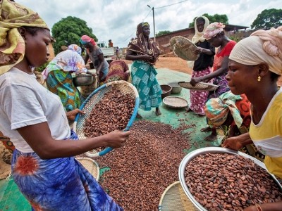 公平貿易幫助女性實現平等在農業,教育他們在商業談判和金融技能的。圖片:公平貿易