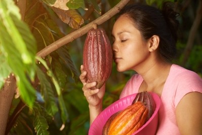 伯克利公司TCHO的使命是幫助農民在可可風味,圖片識別多樣性:©一些/ dimarik