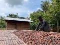 ABOCFA成員Joseph Aperko將可可豆耙在陽光下曬幹，製作加納黃金巧克力棒。圖片:米婭